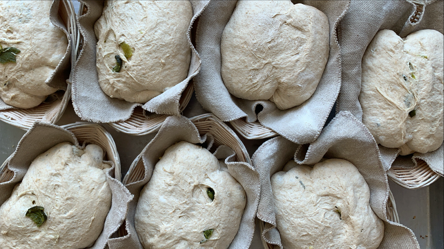Up Your Sourdough Game this Fall